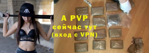 PSILOCYBIN Покров